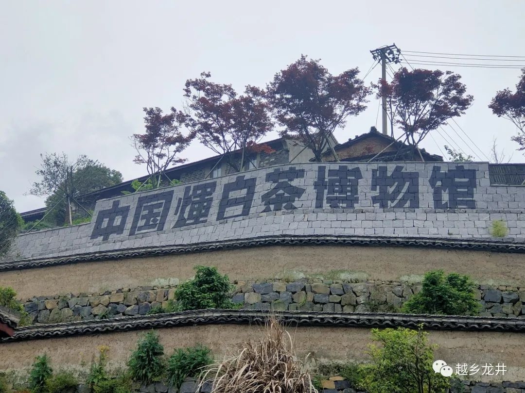 嵊州市前崗輝白茶文化旅游景區(qū)